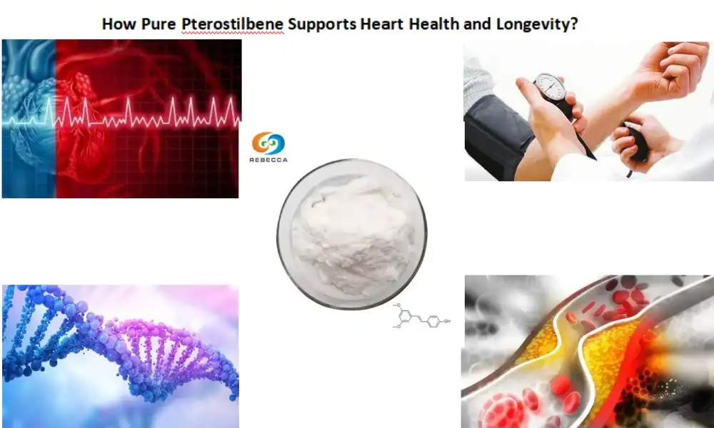 How Pure Pterostilbene Supports Heart Health and Longevity?